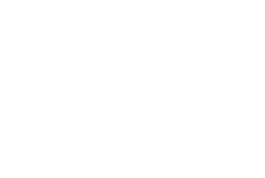 Partner 8